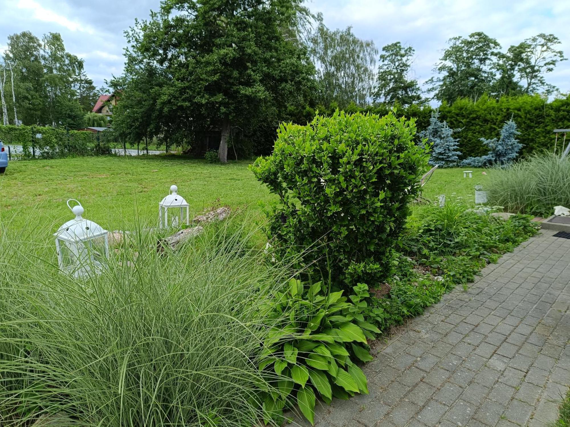 Domy Nad Zalewem Dziwnówek 外观 照片